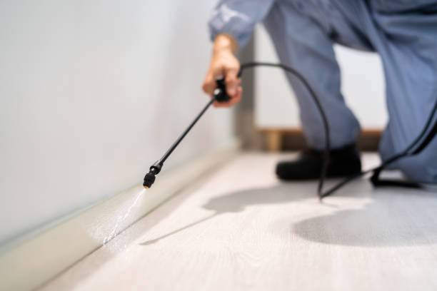 Licensed Pest Control service in Russellville, AR - Show Me Pest Control