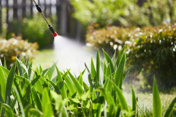 24/7 Emergency Wasp Removal experts in Russellville, AR