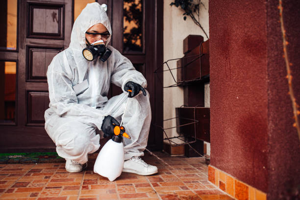 Reliable Wasp Removal contractor in Russellville, AR by Show Me Pest Control